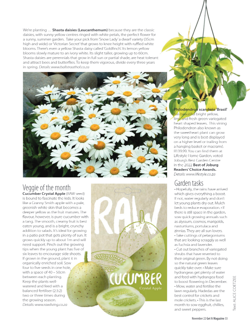 Get It JHB North Nov 2022 page 33