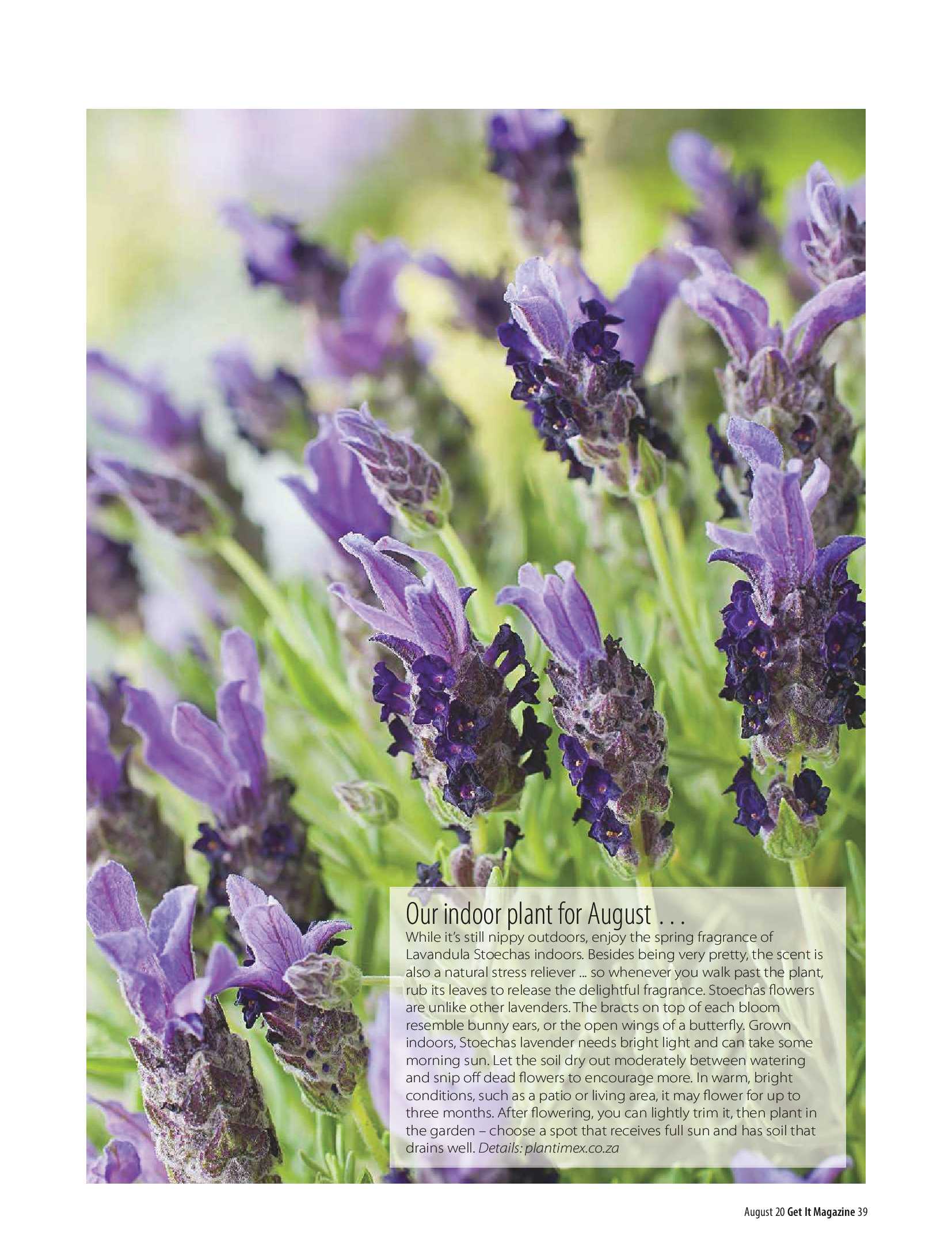 Get It Joburg North August 2020 page 39