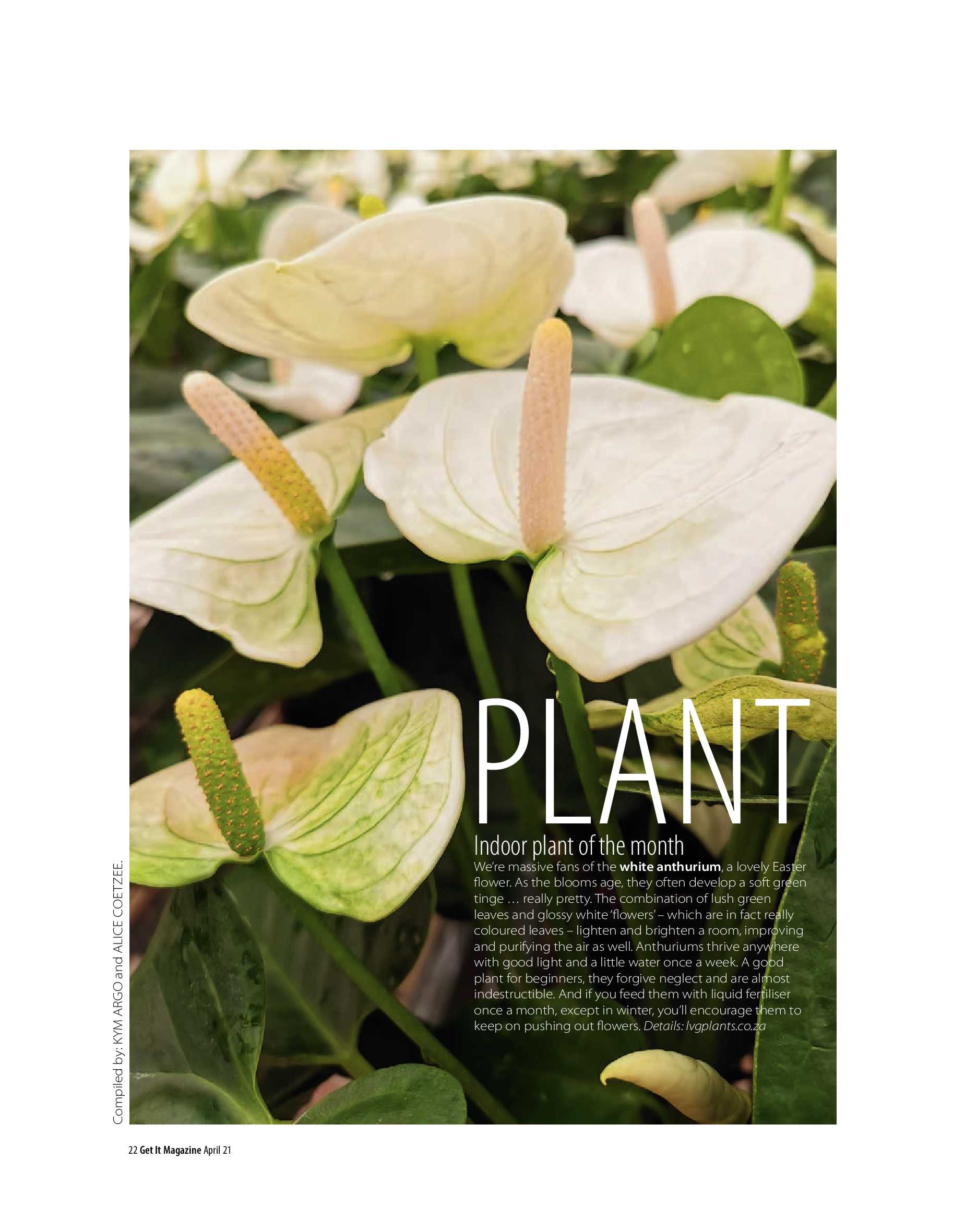 Get It Joburg North April 2021 page 22