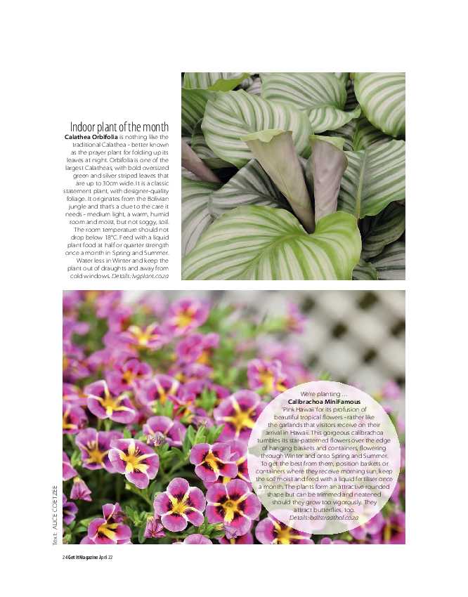 Get It Joburg North April 2022 page 24