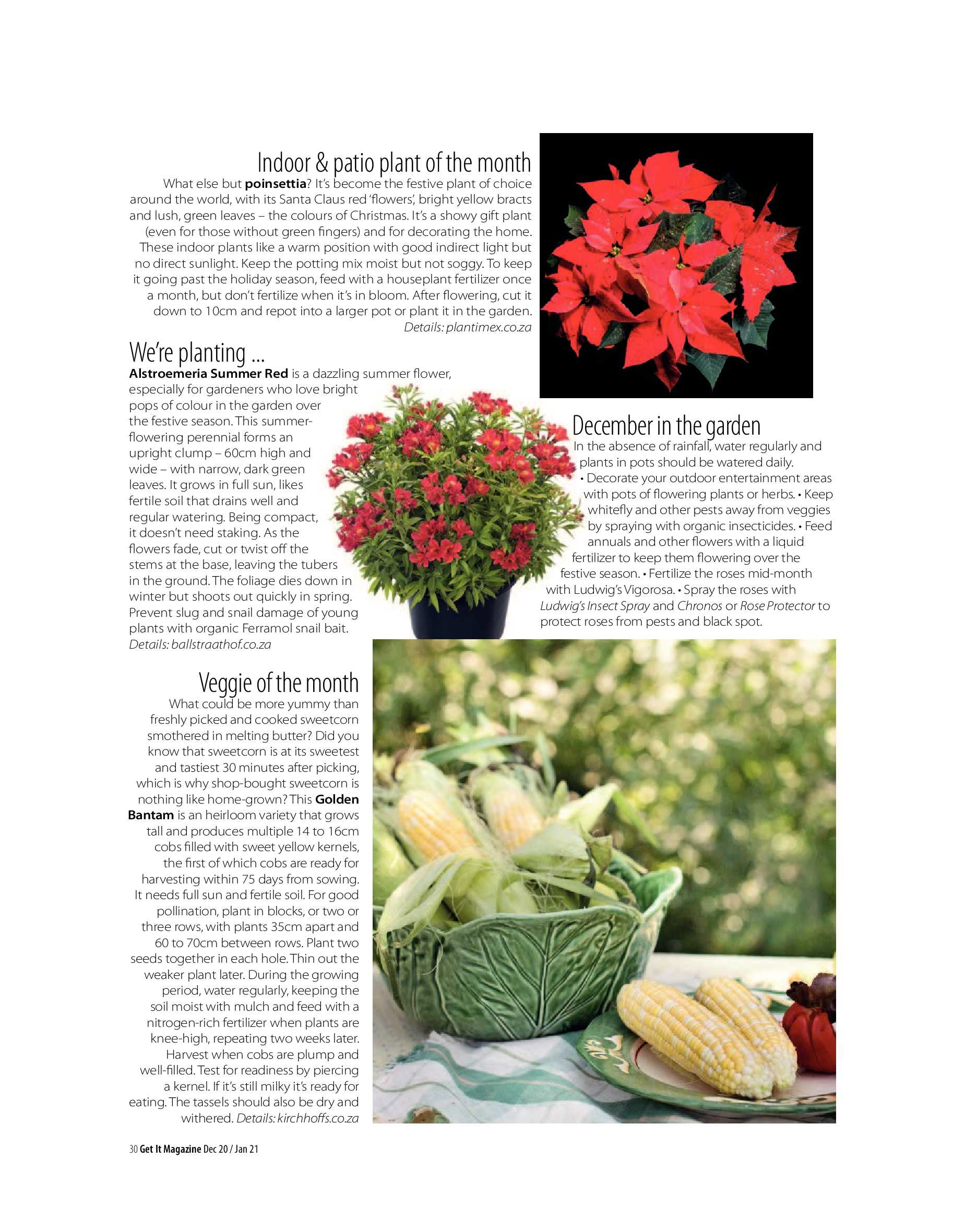 Get It Joburg North December 2020 page 30