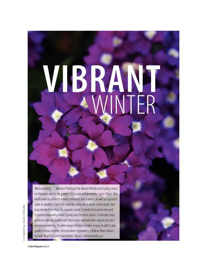 Get It Joburg North July 2021 page 24