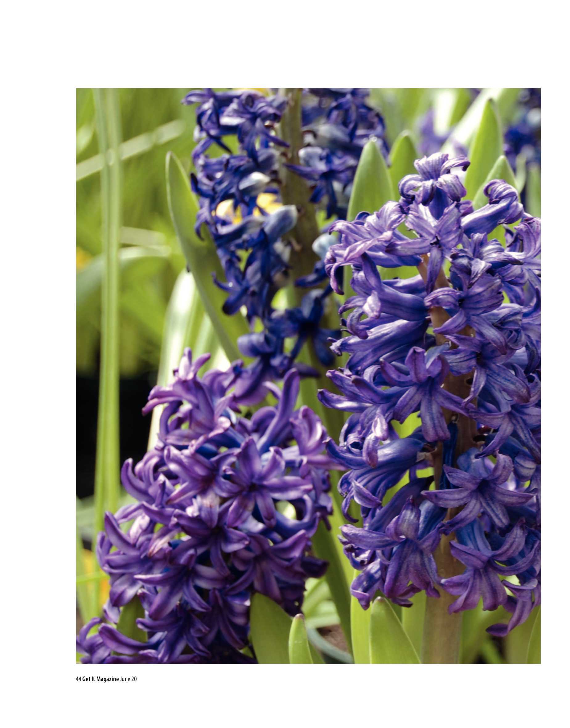 Get It Joburg North June 2020 page 44