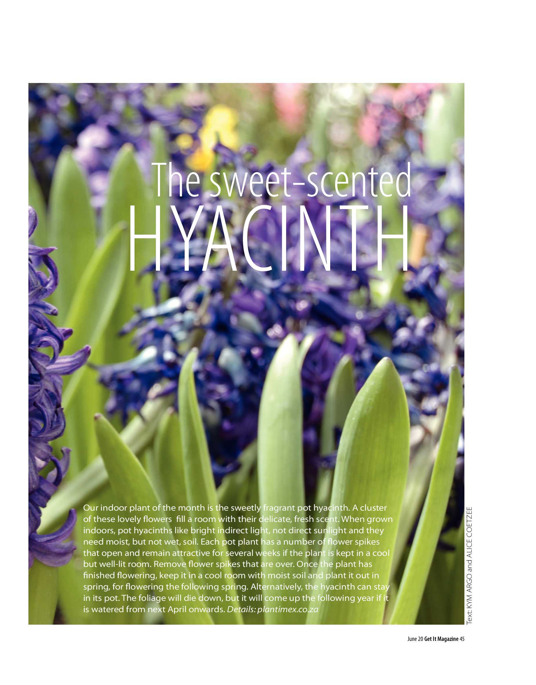 Get It Joburg North June 2020 page 45