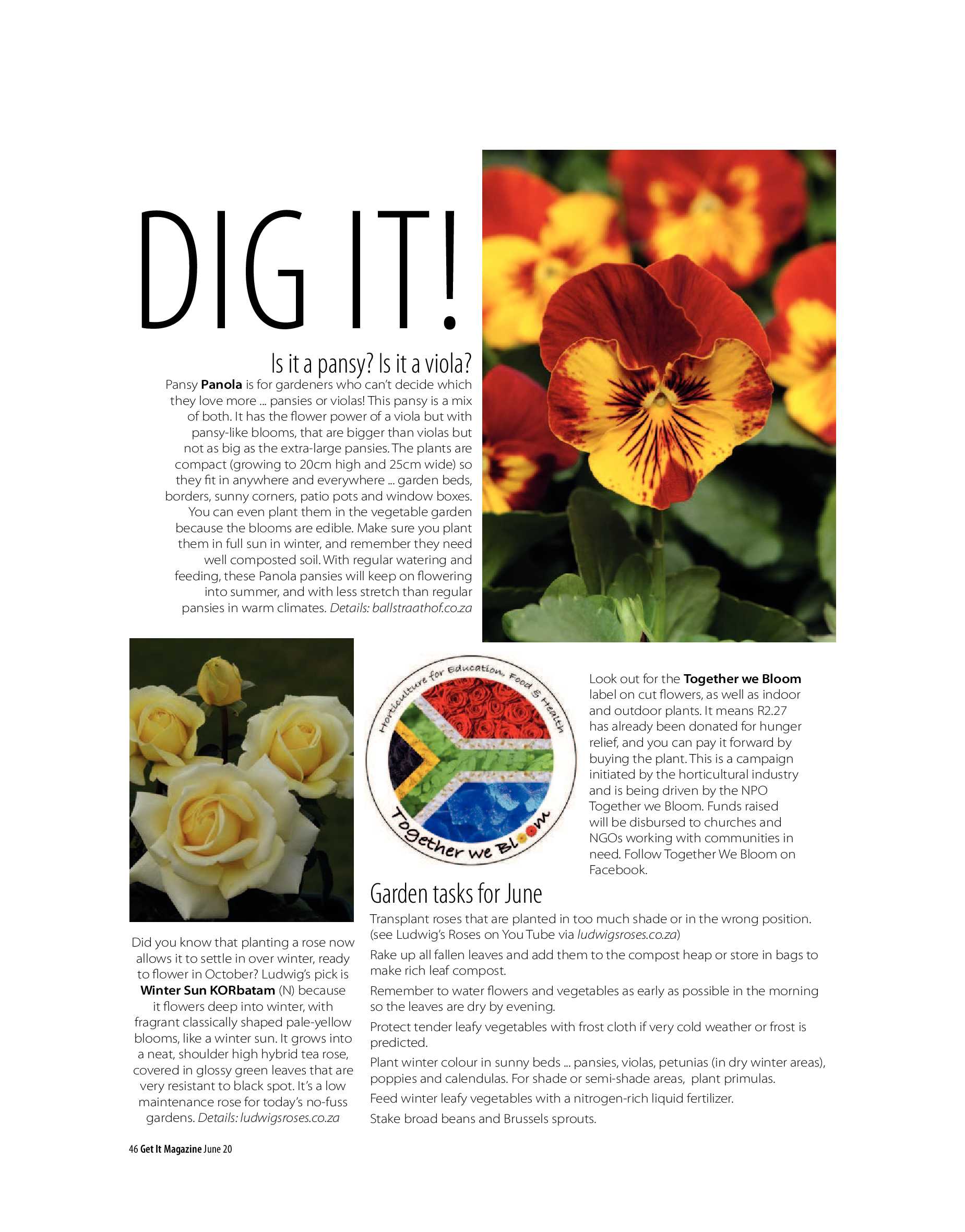 Get It Joburg North June 2020 page 46