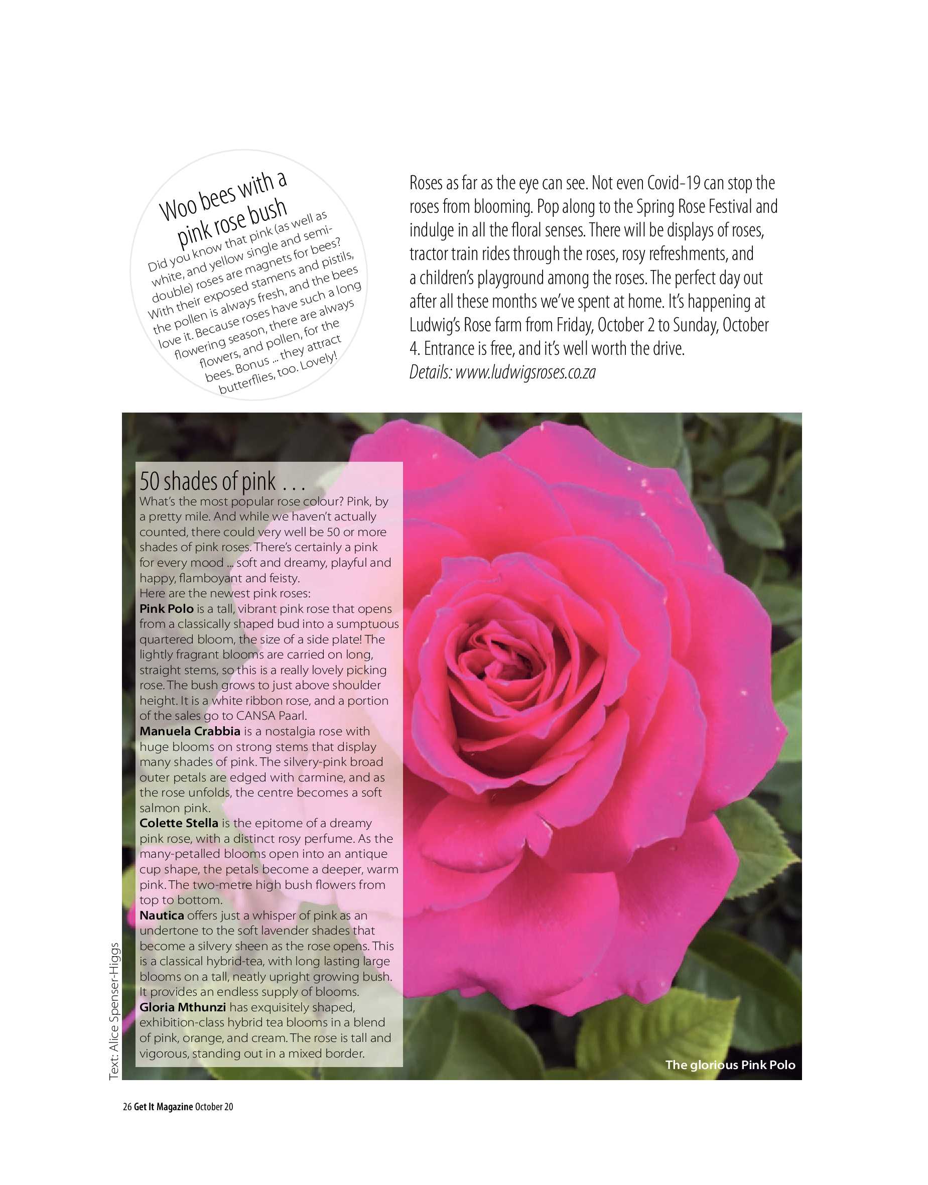 Get It Joburg North October 2020 page 26