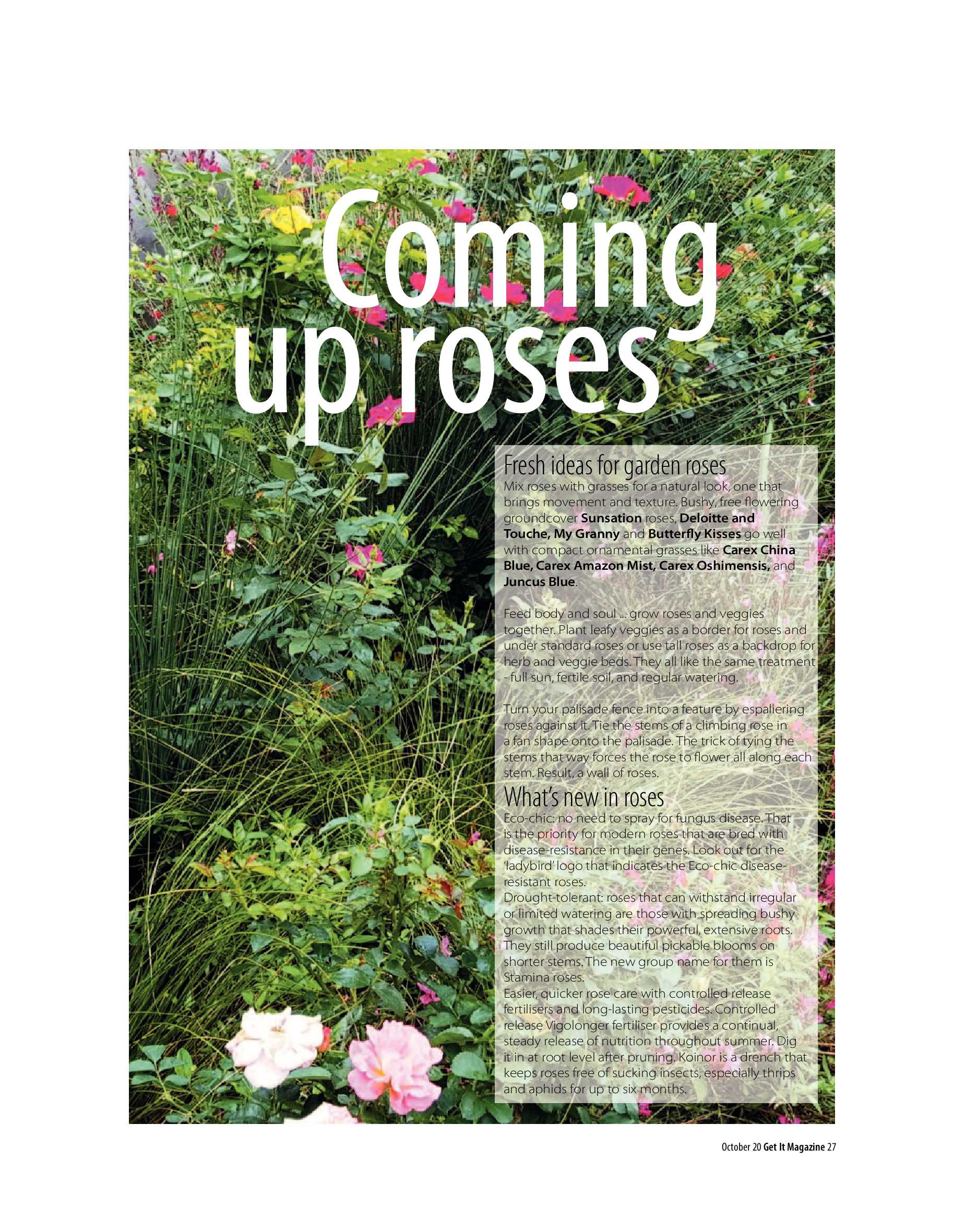 Get It Joburg North October 2020 page 27