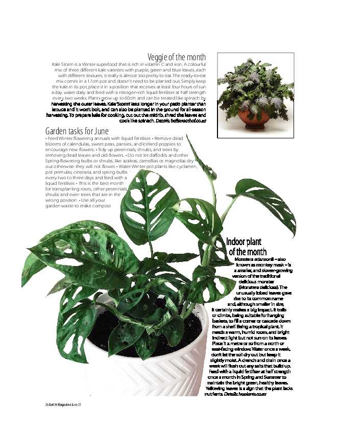 Get it Joburg North June 2021 page 26