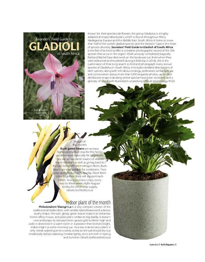 Get it Joburg North September 2021 page 25