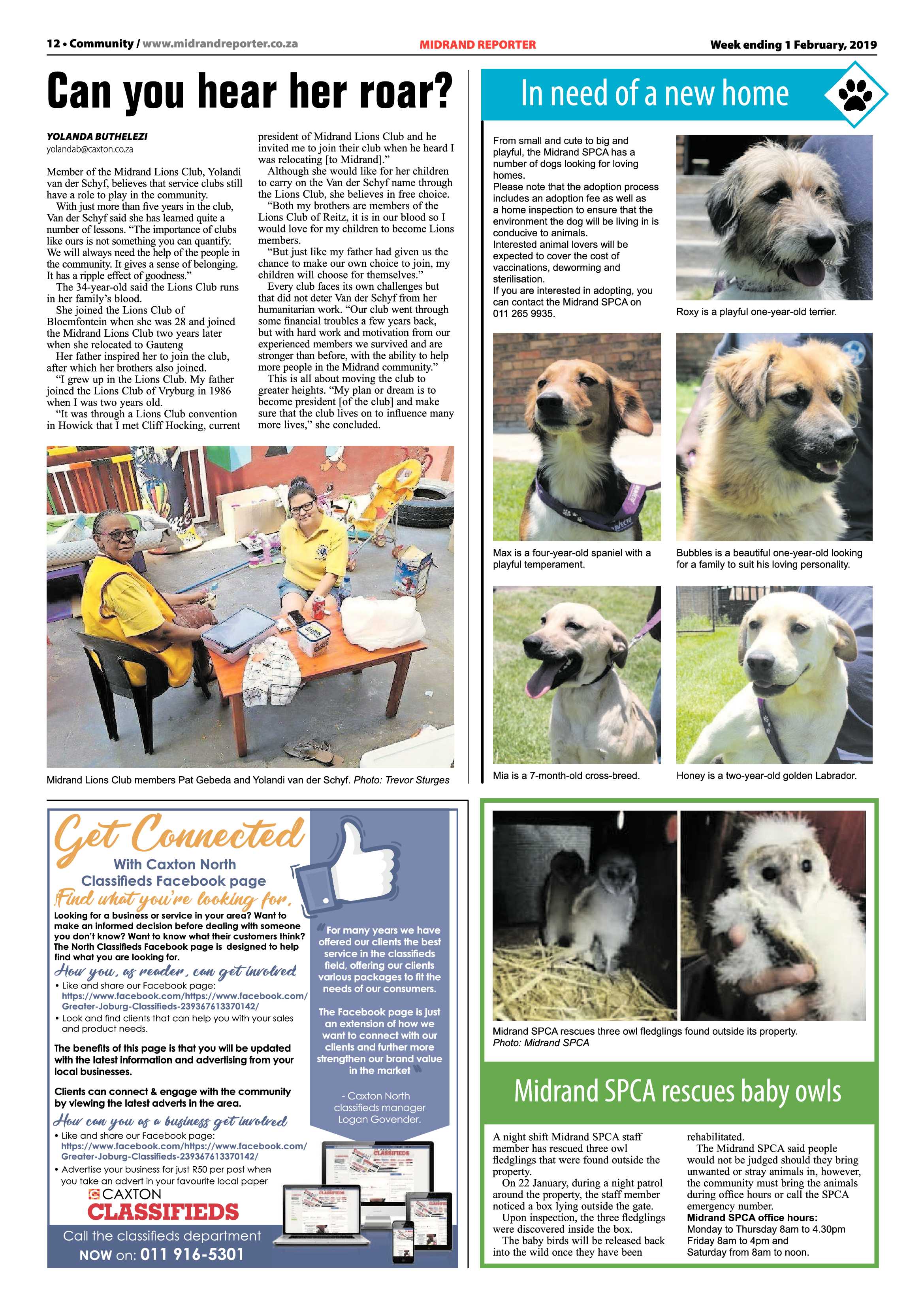 MR 1 February, 2019 page 12