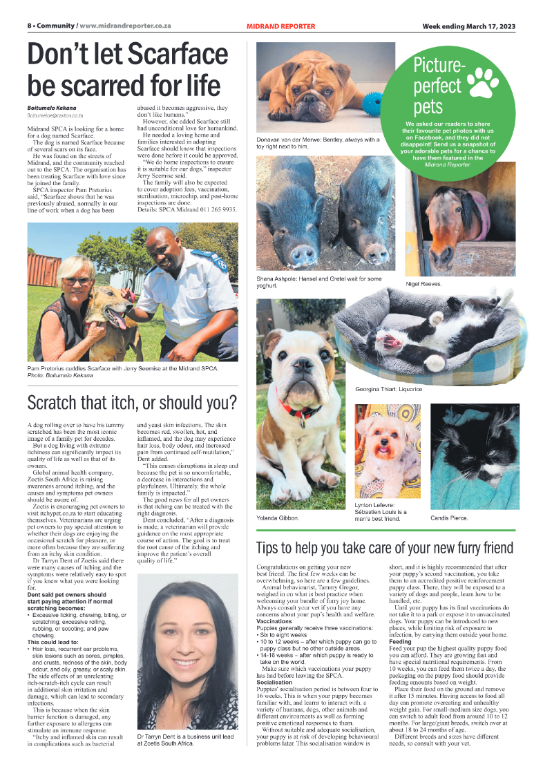 Midrand Reporter 17 March 2023 page 8