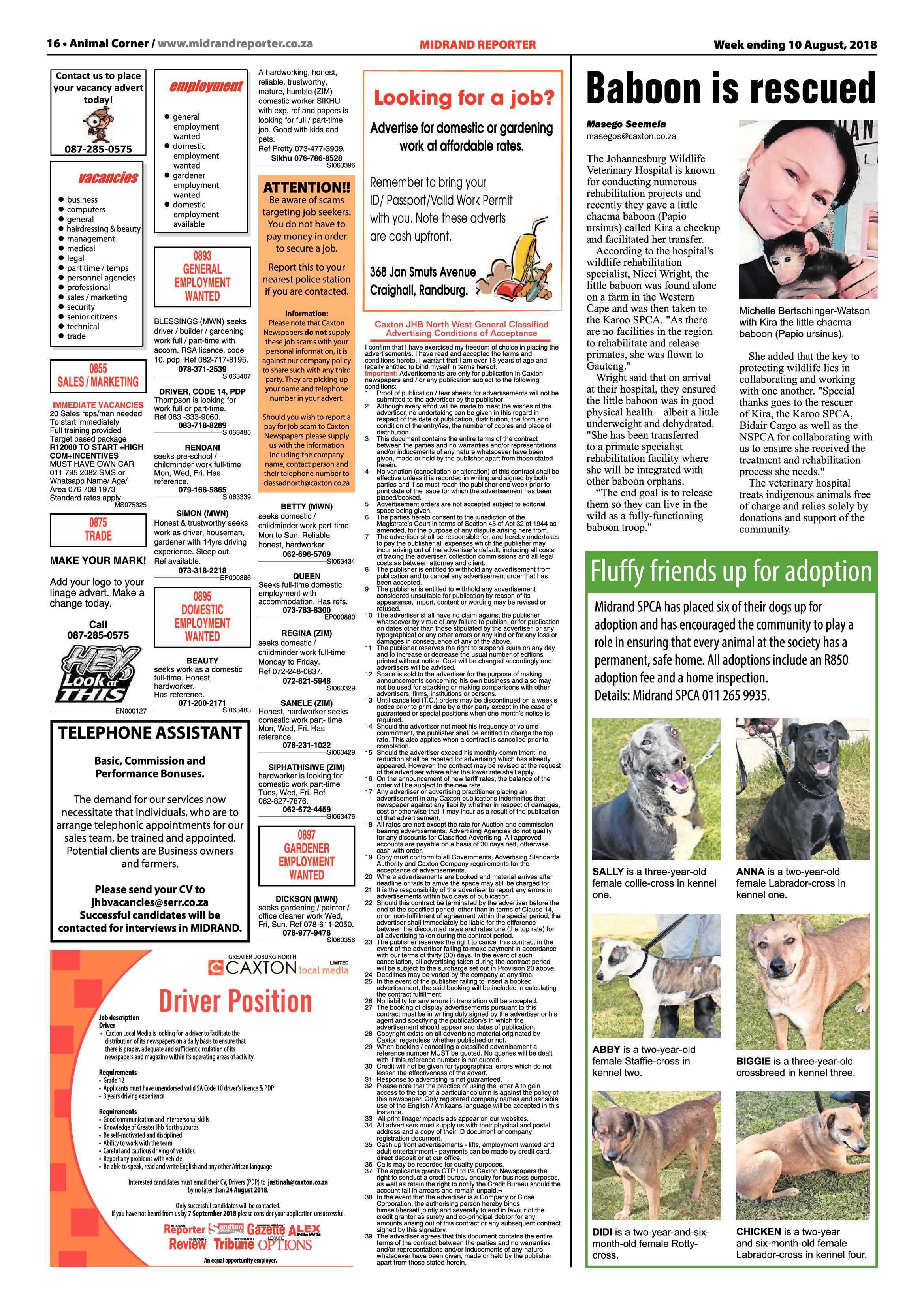 Midrand Reporter 10 August 2018 page 16