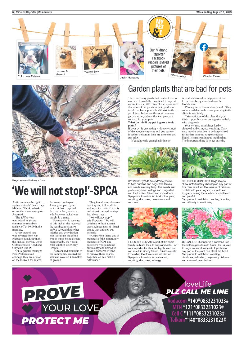 Midrand Reporter 18 August 2023 page 6