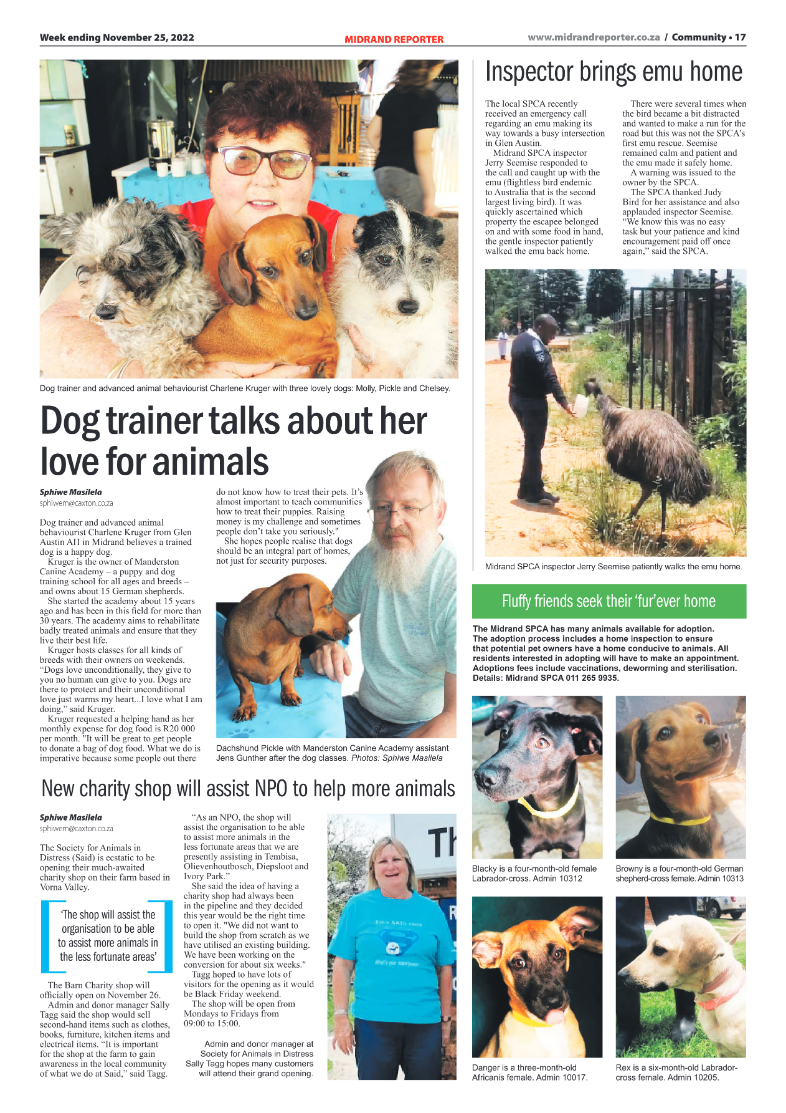Midrand Reporter 25 Nov 2022 page 17