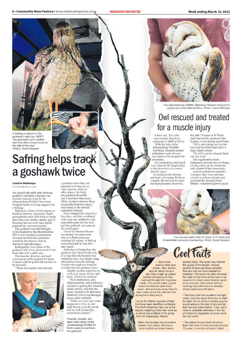 Midrand Reporter March 10 2023 page 6