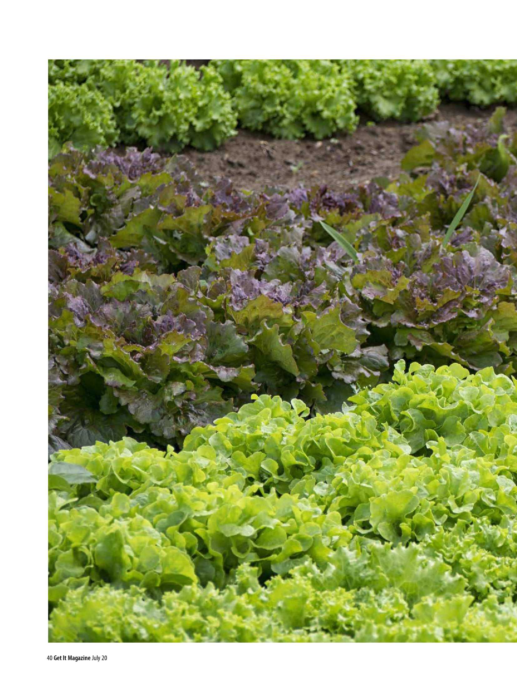 Get It Joburg North July 2020 page 40