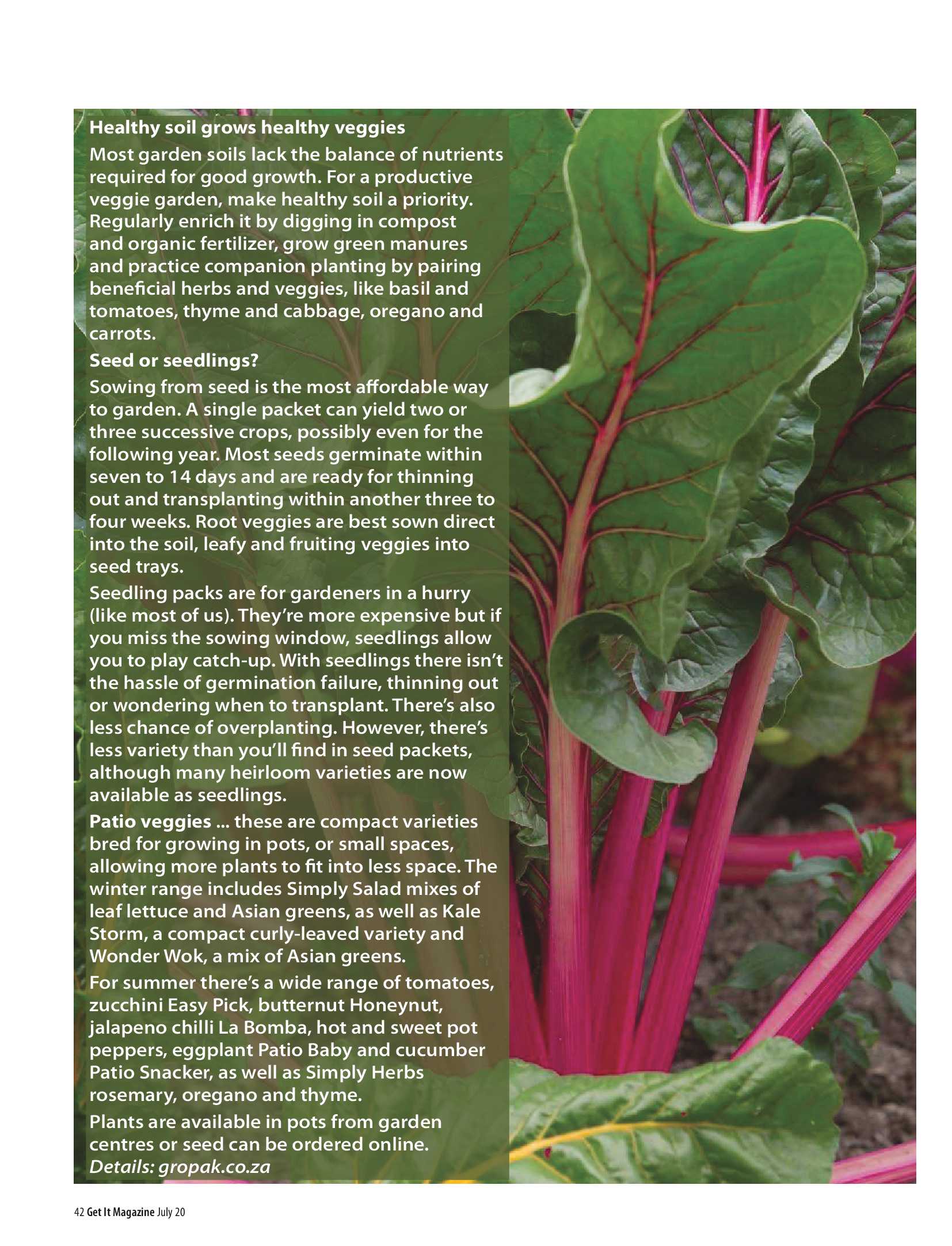 Get It Joburg North July 2020 page 42